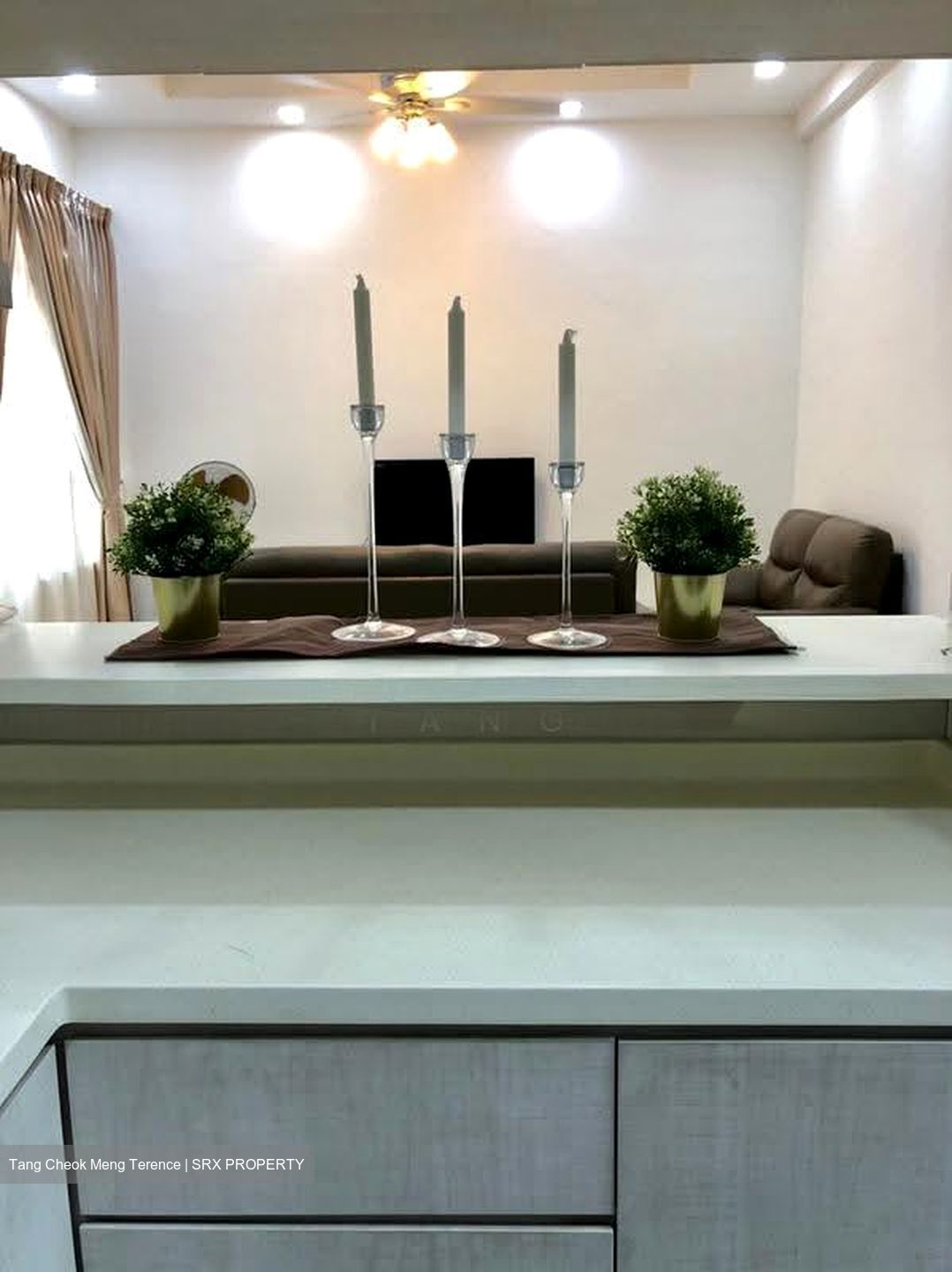 Azalea Park Condominium (D17), Condominium #621584451